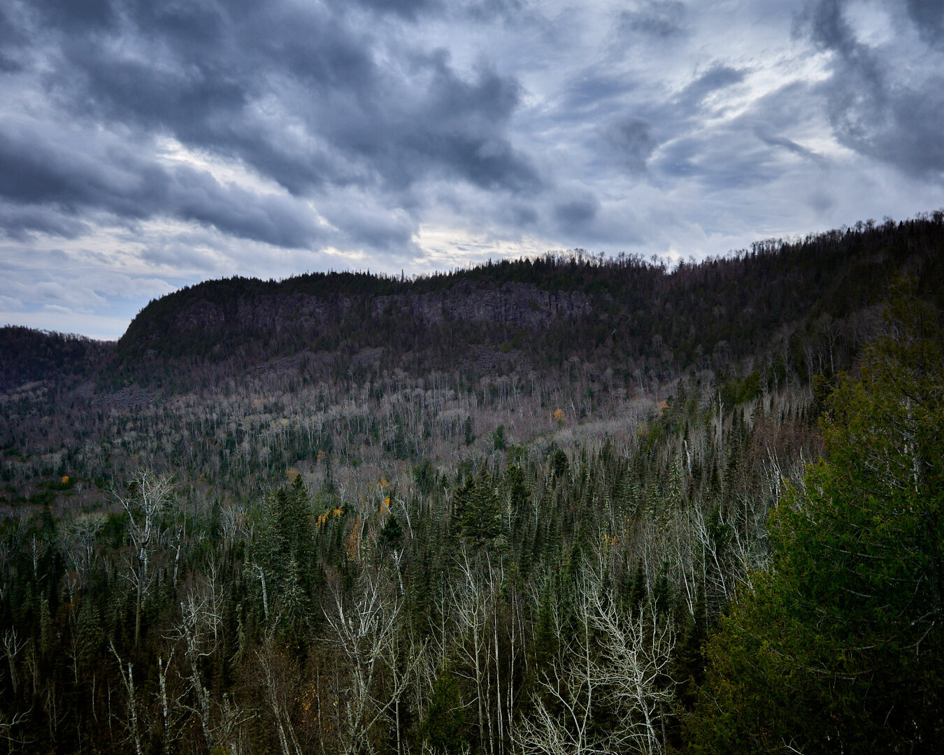 A landscape view of a forested area with a prominent, rocky hill in the background. The foreground features a mix of evergreen and bare trees, with some areas of underbrush visible. The sky is overcast with dark clouds, suggesting a moody atmosphere.