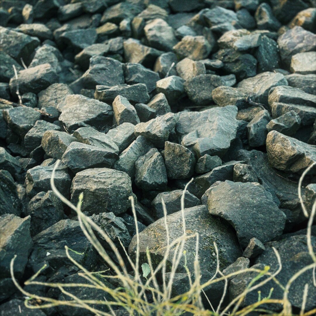 Large shoreline rocks fill most of the frame and trail off into the distance, as a small patch of seagrass pops up from the bottom of the frame.
