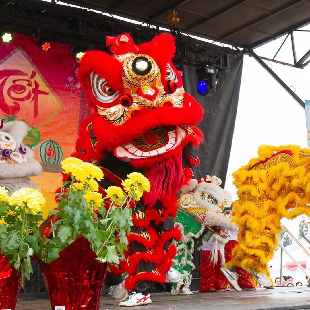 Dragon puppet dancing on the stage at a San Diego Lunar New Year Festival.