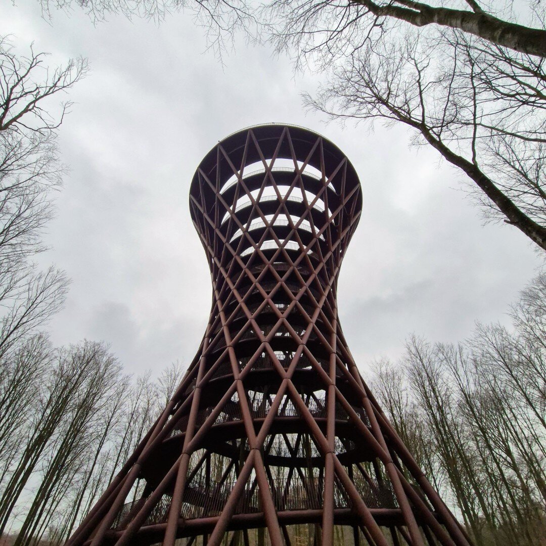 Skovtårnet set nedefra