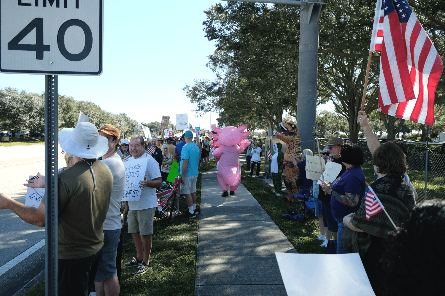 NoKings protesters along SR 46-A. Most are holding signs, some are waving American flags. A few are in costumes, including a frog, a T-rex dinosaur, and another in a pink inflatable costume.