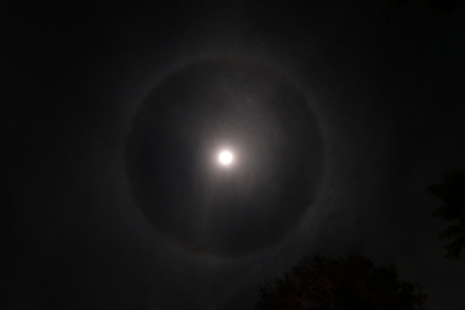 A hazy, not quite cloudy night sky with the moon centered in the image.
There is a grayish/white ring surrounding it.
