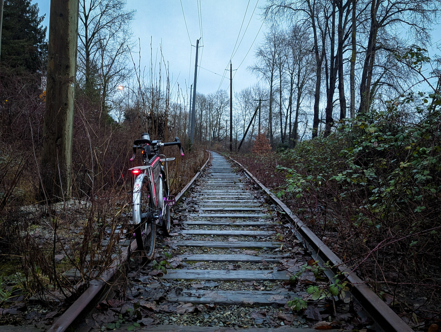 a bike on an abandoned railway track between trees and bushes under powerlines