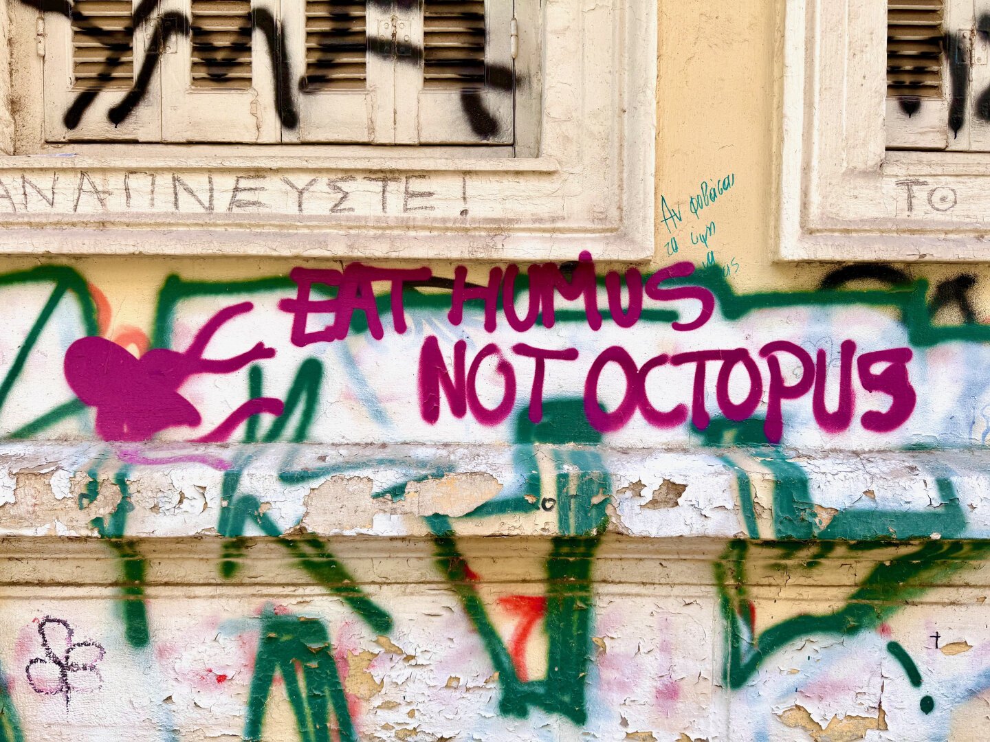 Graffiti on a wall reading 'eat hummus not octopus'