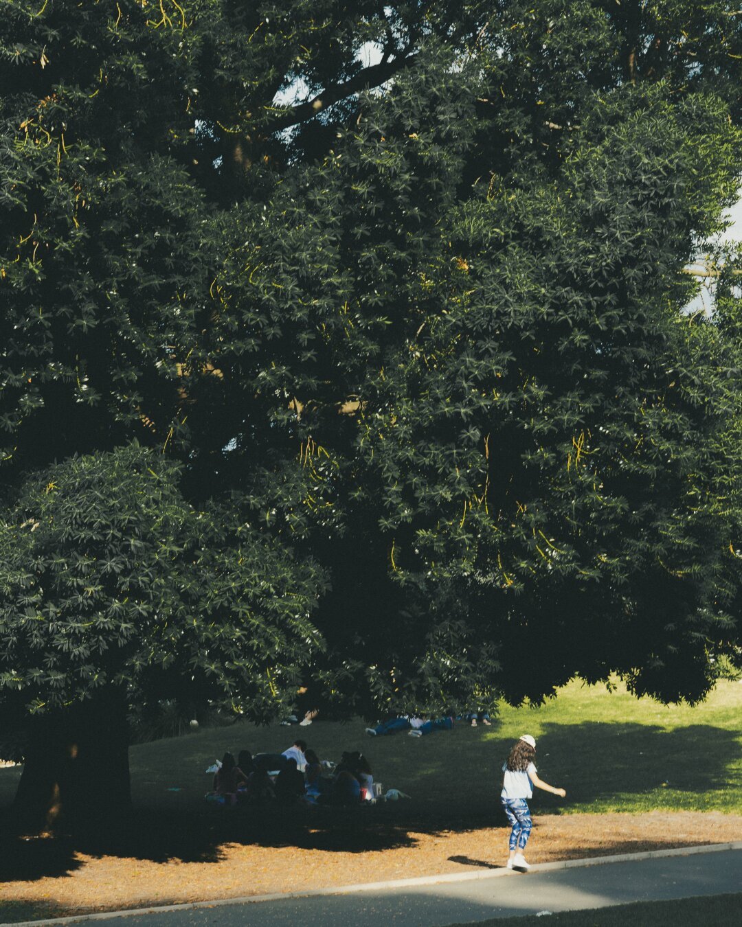 The image shows an outdoor scene with dense green foliage dominating most of the background, indicating it might be taken during late spring to early autumn when trees are lush and full. The foreground features a young girl standing on what appears to be a paved path or road, actively engaged in throwing something; her right arm is extended forward as she releases an object from hand. She wears casual attire suitable for outdoor activity: a white top with blue sleeves, light-colored pants, sneakers, and a baseball cap turned backward. In the background, multiple people are seated on grass under trees, suggesting a communal or leisurely setting such as a park. The colors in the photo include various shades of green from the leaves, brown tones from tree trunks and fallen branches, earthy hues from the ground cover like mulch or dry leaves, and the neutral grays and whites reflecting off paved surfaces. No discernible features indicate any bias towards gender or race; it's a general depi