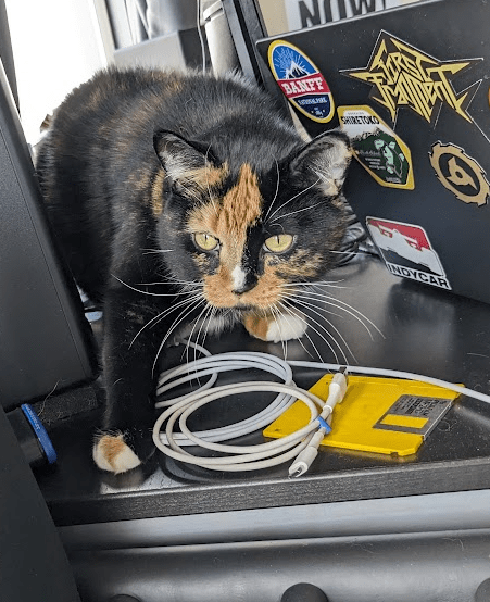 calico cat looking outside, she's on the desk, computer on the right, cables on the bottom. There is a floppy disk on the bottom. She's looking at a bird outside