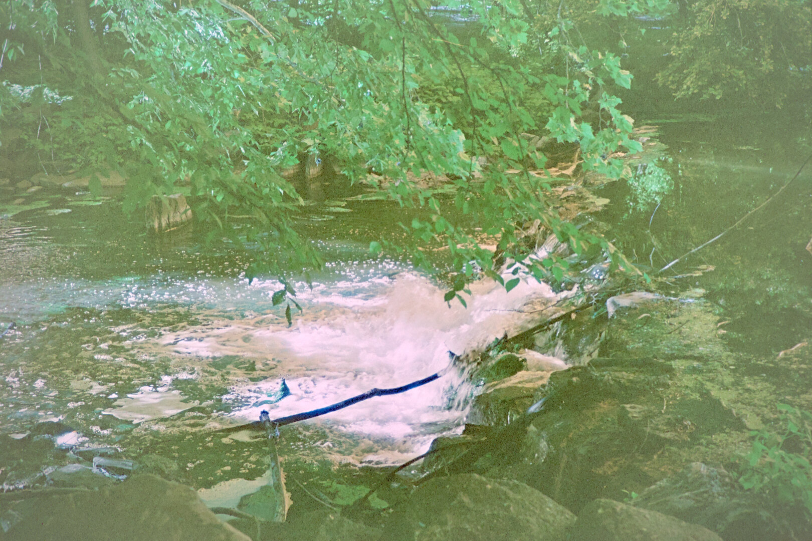 A small waterfall in the forest