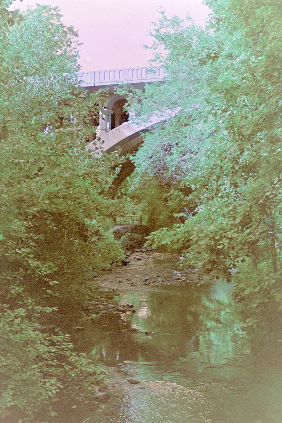 A river flows beneath a tall old bridge in the forest