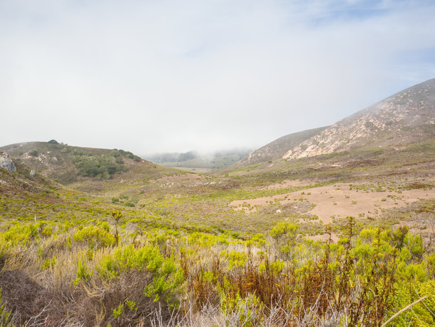 Looking down at a foggy valley with shrubs and yellow dry grass