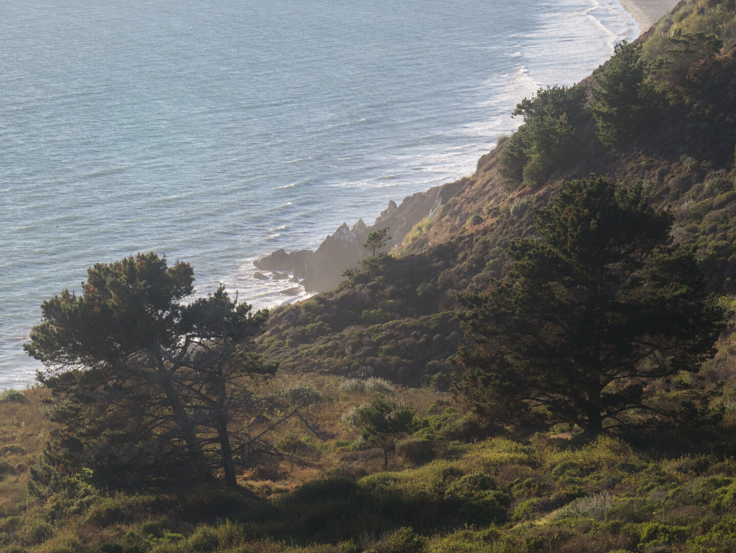 Looking down at the beach and ocean, with trees scattered among shrubs in the foreground