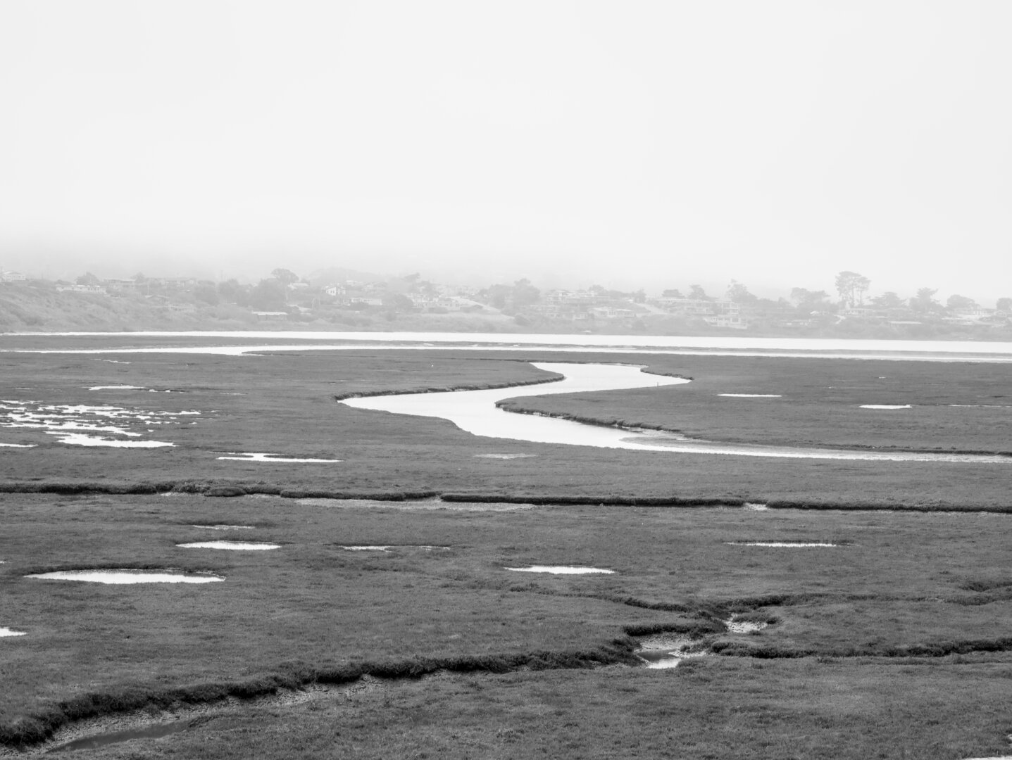 Black and white photo emphasizing the winding creeks in a wetland