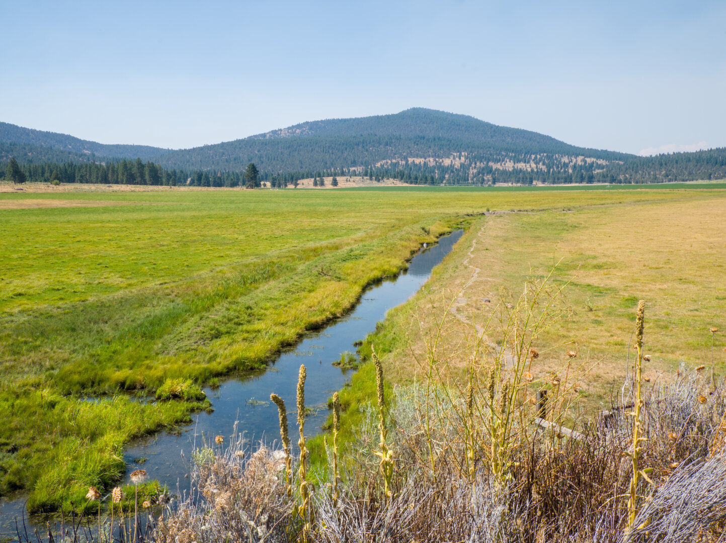 A small irrigation channel flows through a field of green grass, leading to a low mountain in the distance.