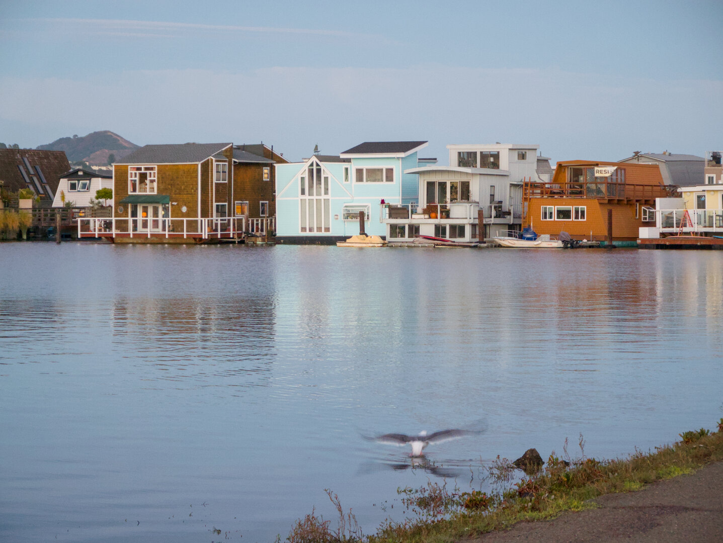 Looking across a little harbor at a row of colorful little houses reflected in the harbor. The sun was setting and the pink color of the clouds was fading. In the foreground is a seagull taking off, with motion blur.