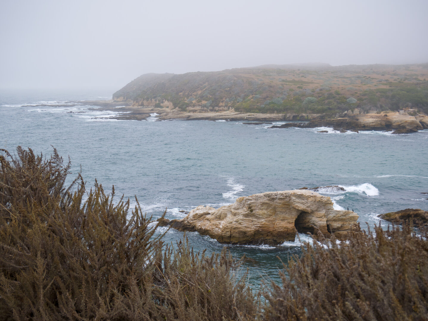 Looking down from a cliff at a cove. There's a rock sticking out of the ocean.