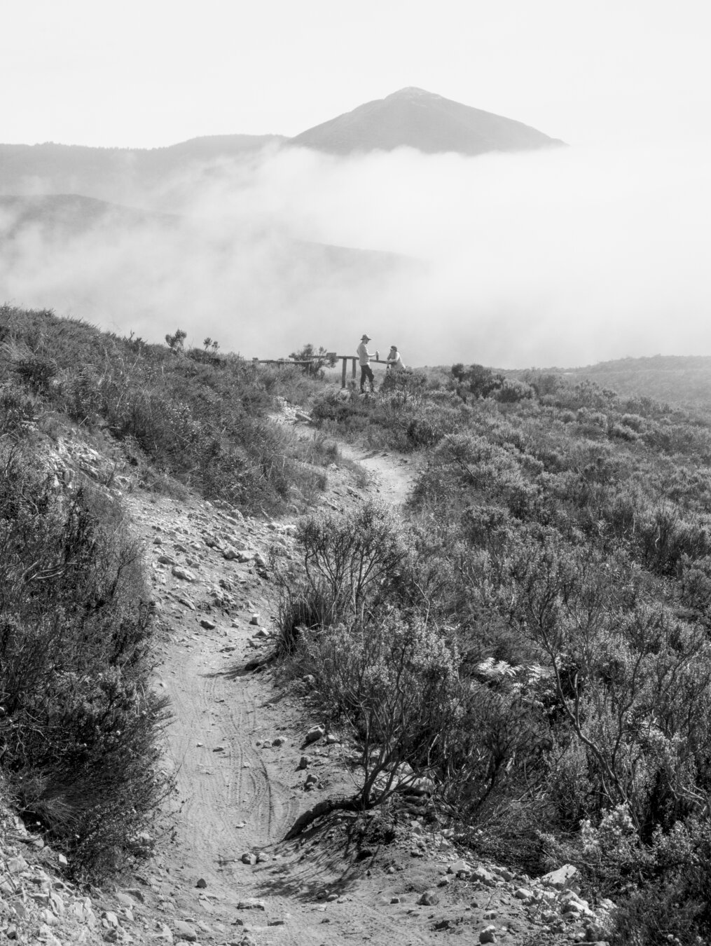A rugged single track in the midst of shrubs leading to the said scenic overlook and the two people there in front of the clouds.