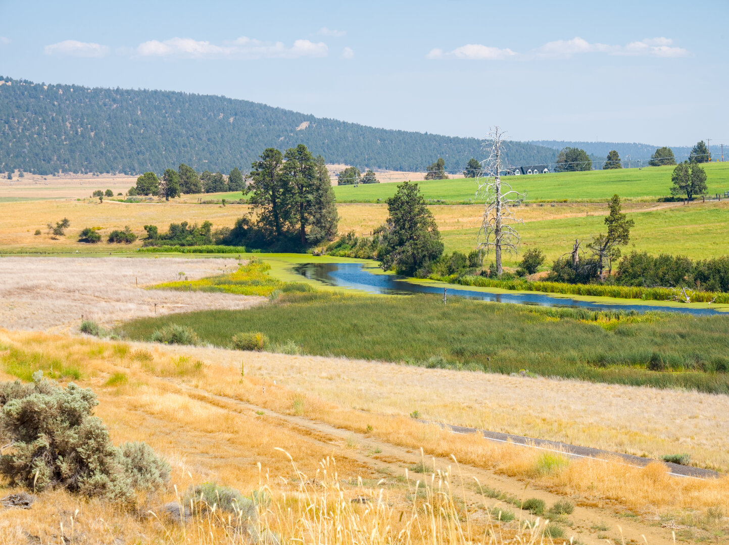 The same river, showing more of the arid yellow grass around it
