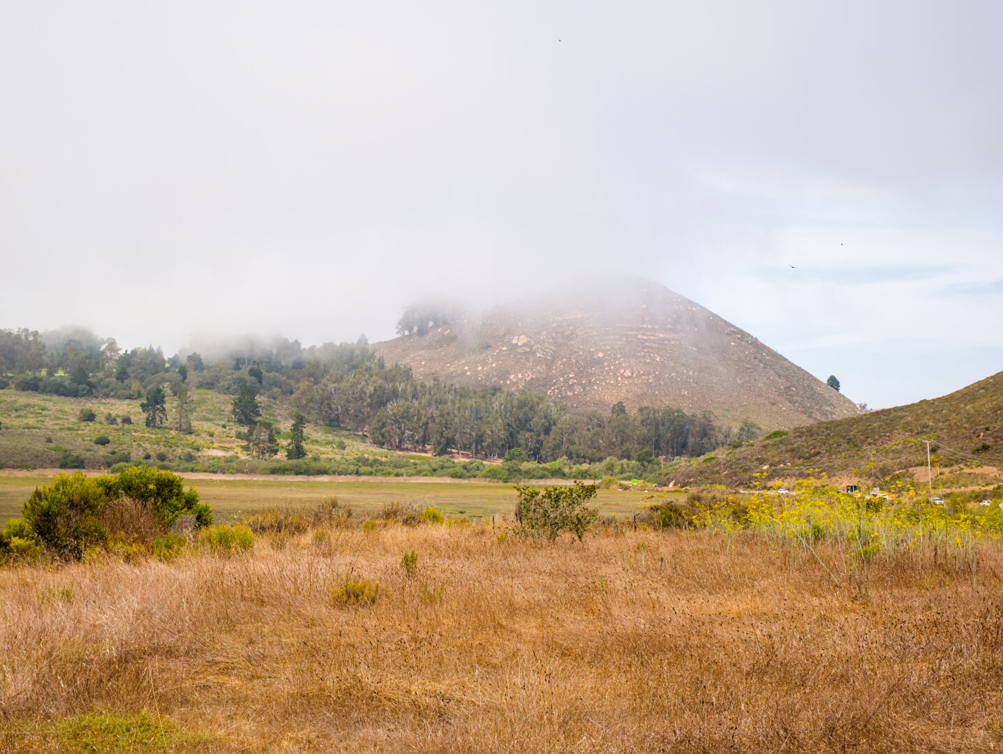 A rounded little hill covered with rounded rocks and dry grass reaches into the clouds. At the foothills are some trees, green shrubs, but most of the foreground is dry grass and some yellow wild fennel flowers.