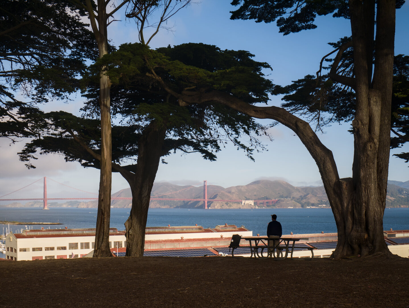 Trees frame the scene and a person by an outdoor table enjoying the scenery. In the distance is the SF bay and Golden Gate Bridge under a little cloud.