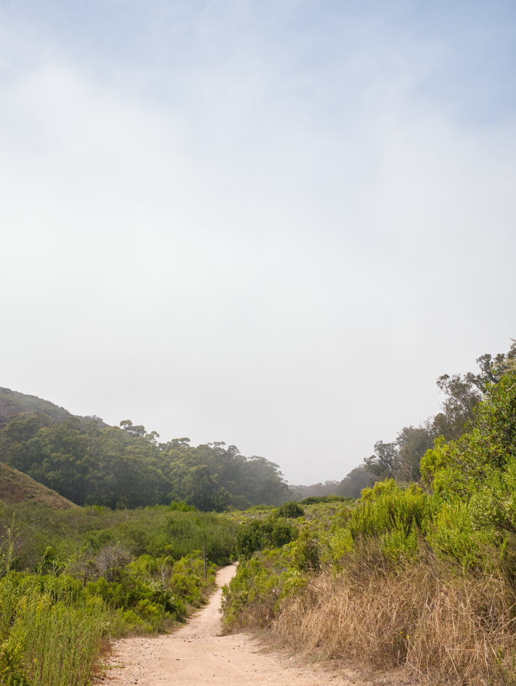 Photo in portrait composition with a dirt trail and green hills at the very bottom, to highlight the upper edge of the fog where the blue sky is revealed