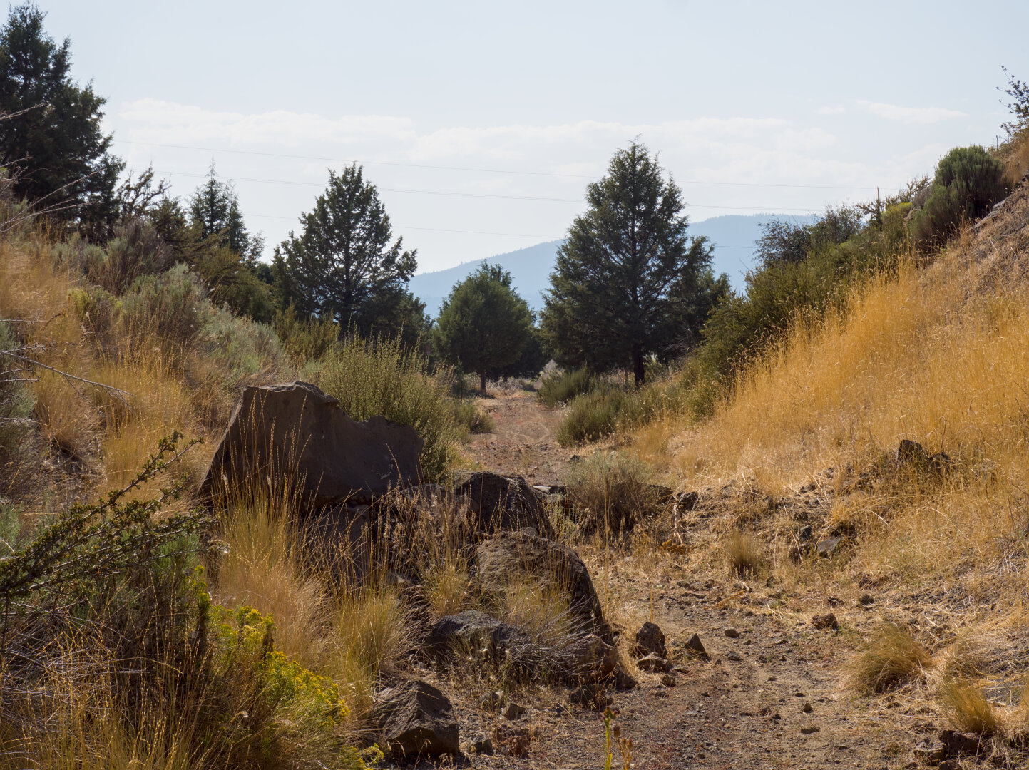 A little dirt trail partially blocked by rocks carves through a small valley, leading to some trees in the distance.