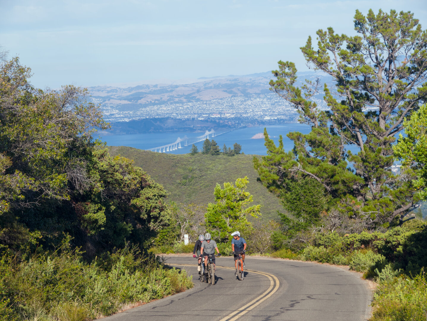 Three people were riding mountain bikes up a very steep paved road on the curve. On both sides of the road are many trees. In the distance is the bay and Richmond bridge.
