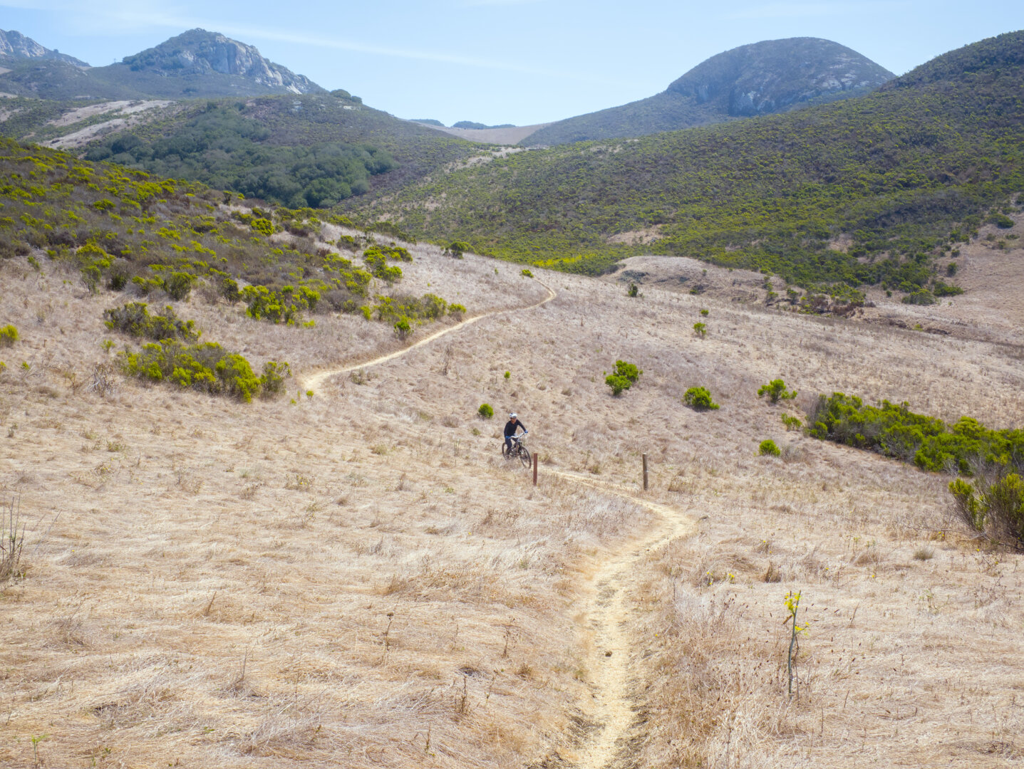 A mountain biker rides down a curvy single track through a field of dry grass. The trail leads up a mountain with more greenery at higher altitude.