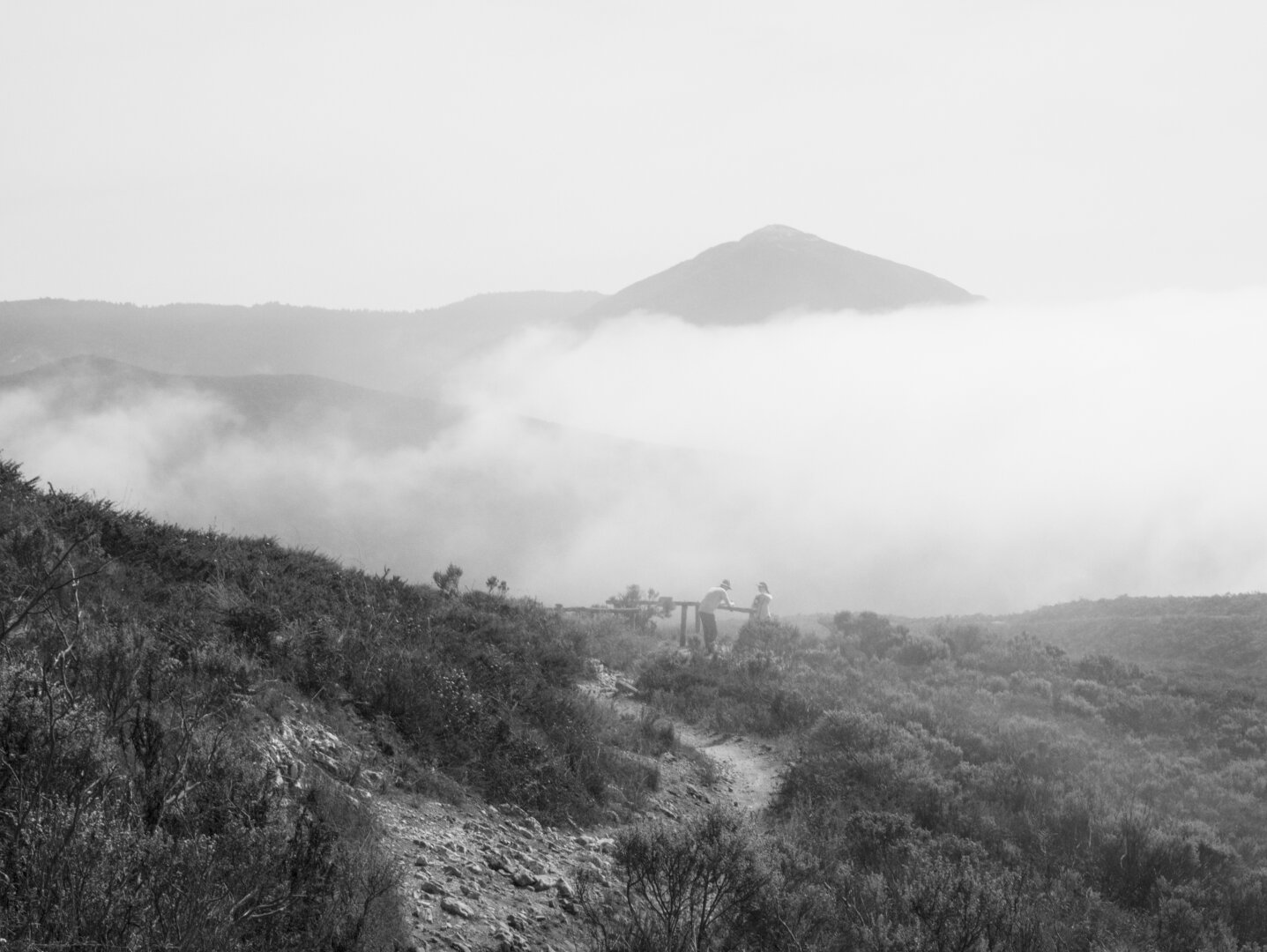 Landscape composition of the previous scene, emphasizing the clouds/fog