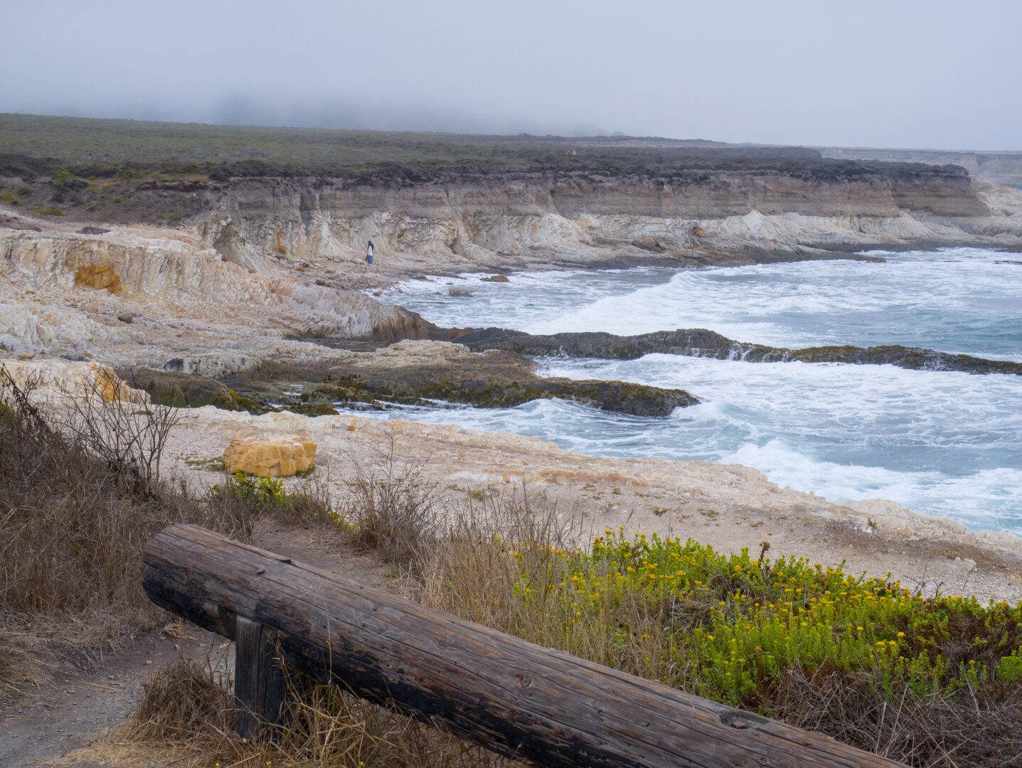 Billowing waves of the ocean pound on the rocks on the shore. There's a nice log demarcating the trail in the foreground. On the top of the cliff in the background is a forest barely visible in the fog.