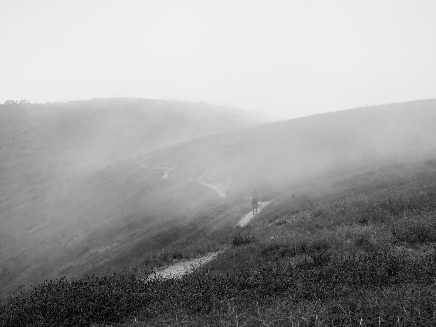 A person running on a single track on the side of a mountain into the fog/clouds