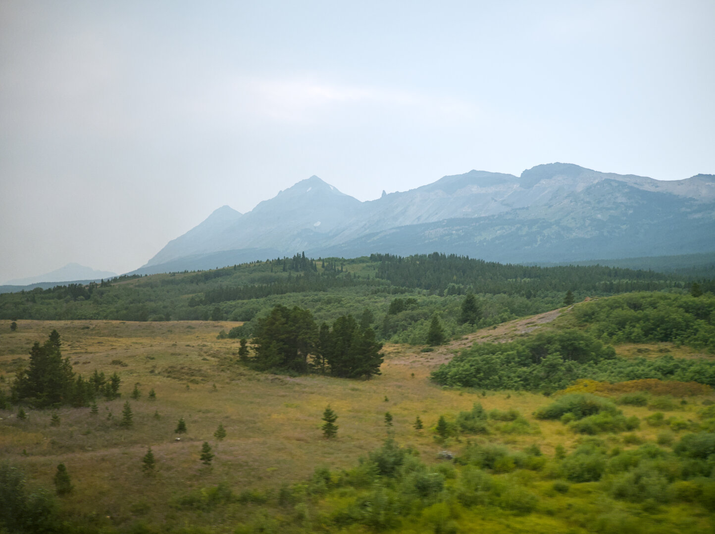 Mountains rise above grassland into the mist. The tallest peak is a bit pointy and seems to have a tiny bit of snow on it.