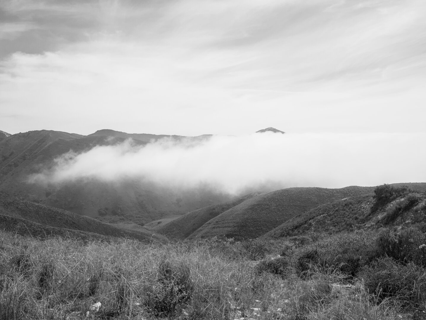 Rising above the fog as I gained altitude. A mountain in the distance peeks out from the clouds.