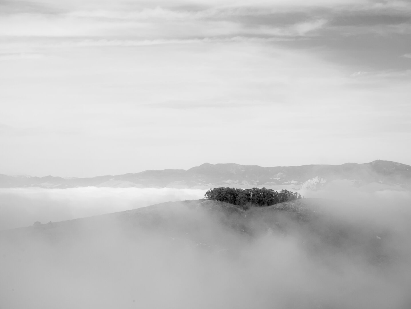 A little patch of forest on a peak peeks out from the clouds below