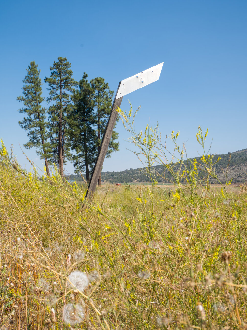 A metal railway sign shaped like a slim parallelogram in the midst of grass, dandelions, and wildflowers. There are few trees in the background.