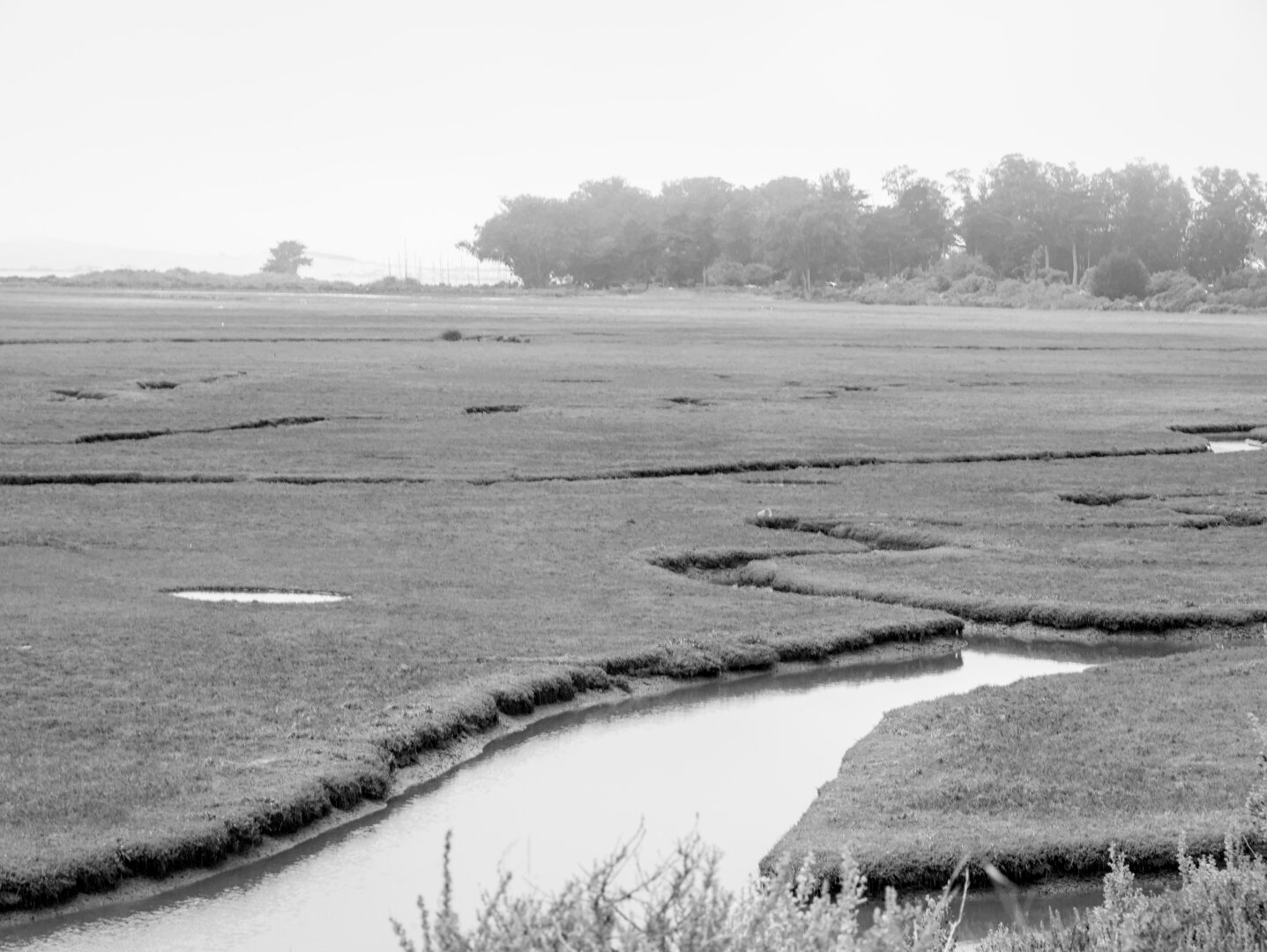 I already descended down to the road by the wetland. In the distance is a forest and the dunes and masts at the marina can be vaguely seen through the fog.