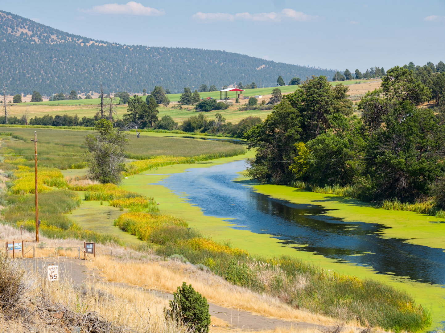 A river curves through the landscape that is otherwise arid. The area around the river is green, with green grass and trees. There's some green algae in the river. In the distance is a mountain covered in trees, and a small red and white tent.