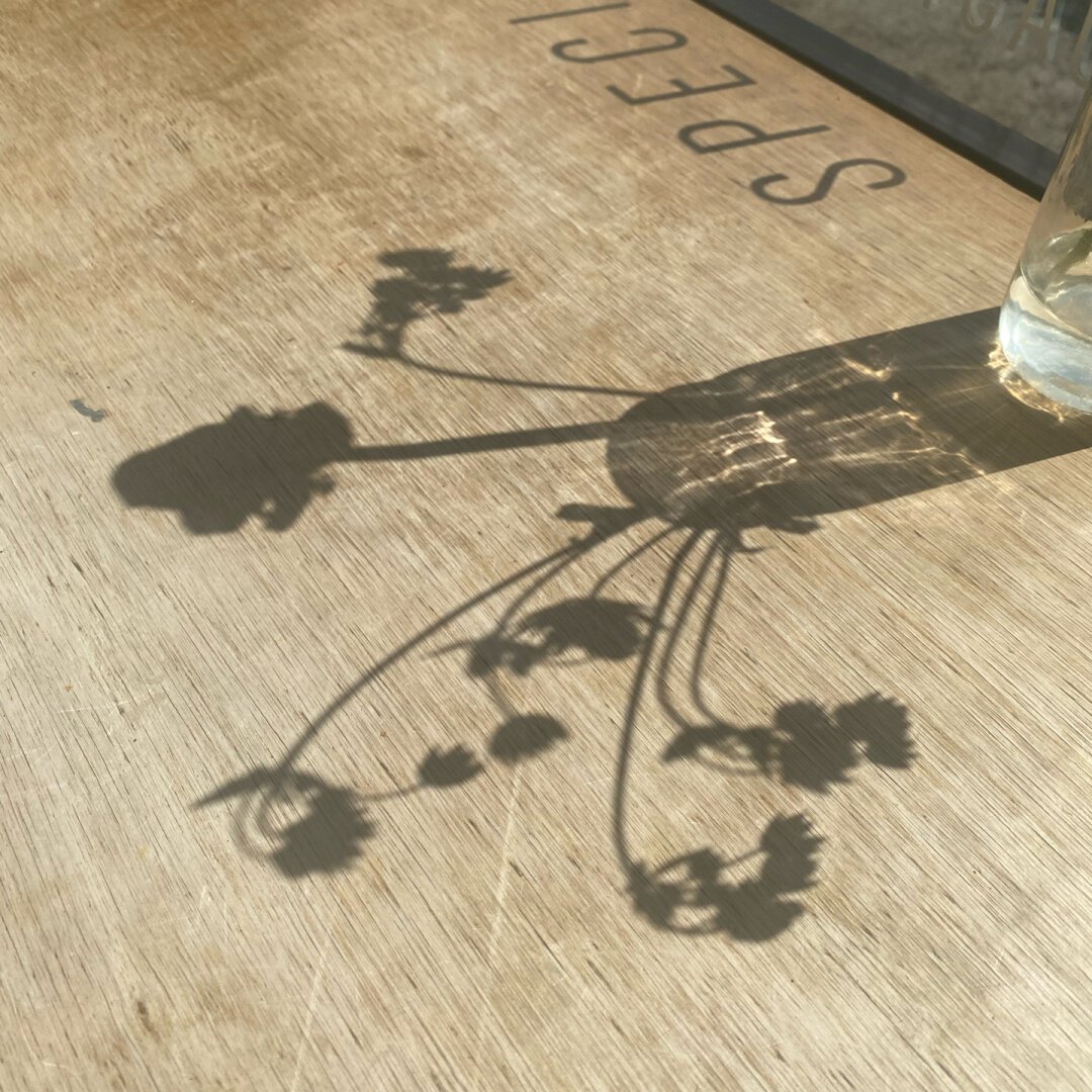 The shadow of flowers in a vase falling on a tabletop on a sunny day