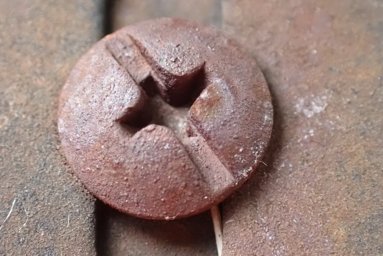 A rusty screw