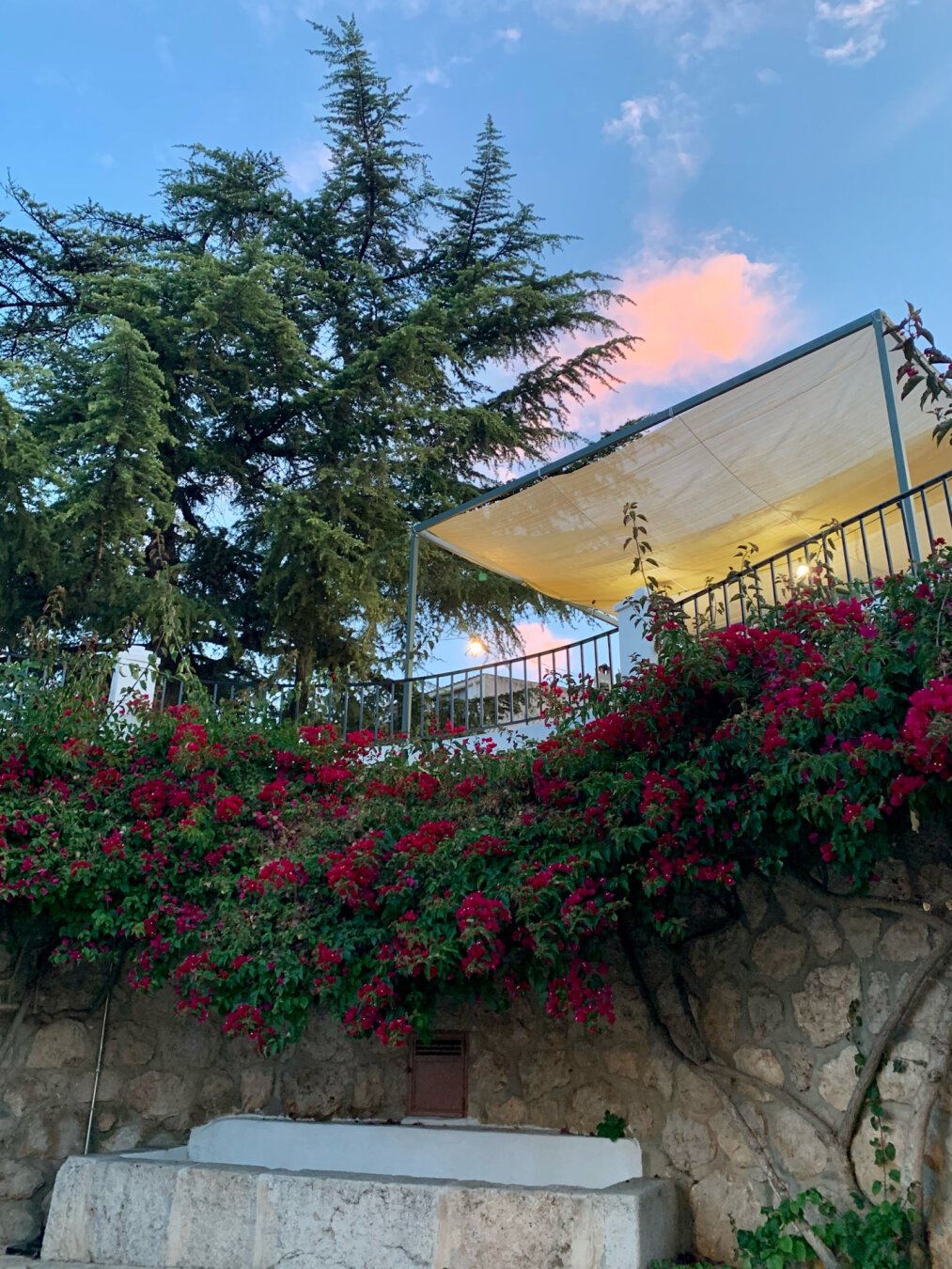 Se ve un muro, cubierto por flores en su mitad superior, y una pila justo debajo.
Encima, se ve un pino y una estructura con toldo que pertenece a un bar. Tras todo esto, se ve un cielo amaneciendo.