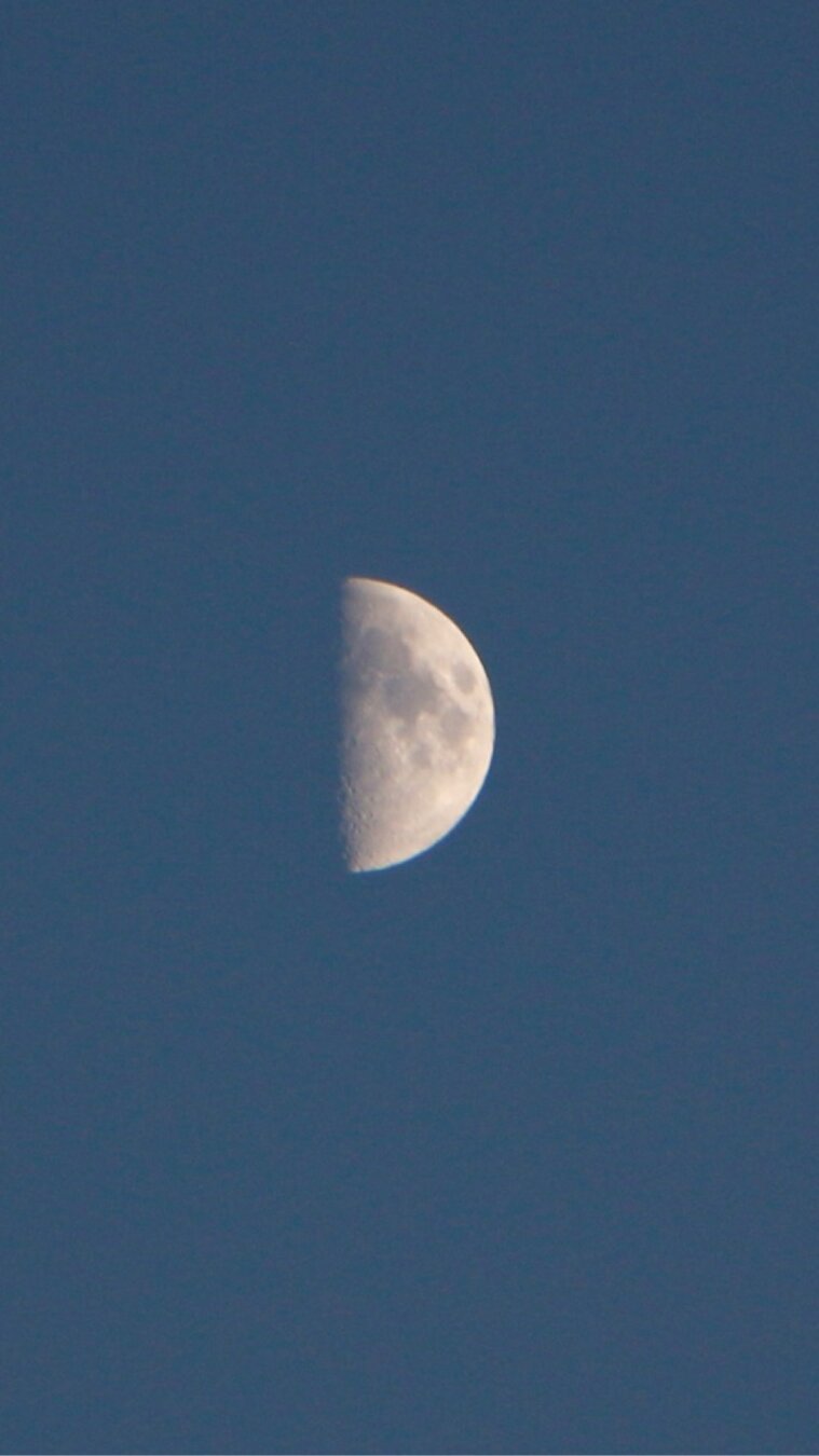 Fotografia de la luna en su fase de cuarto creciente, con el cielo aún azul.