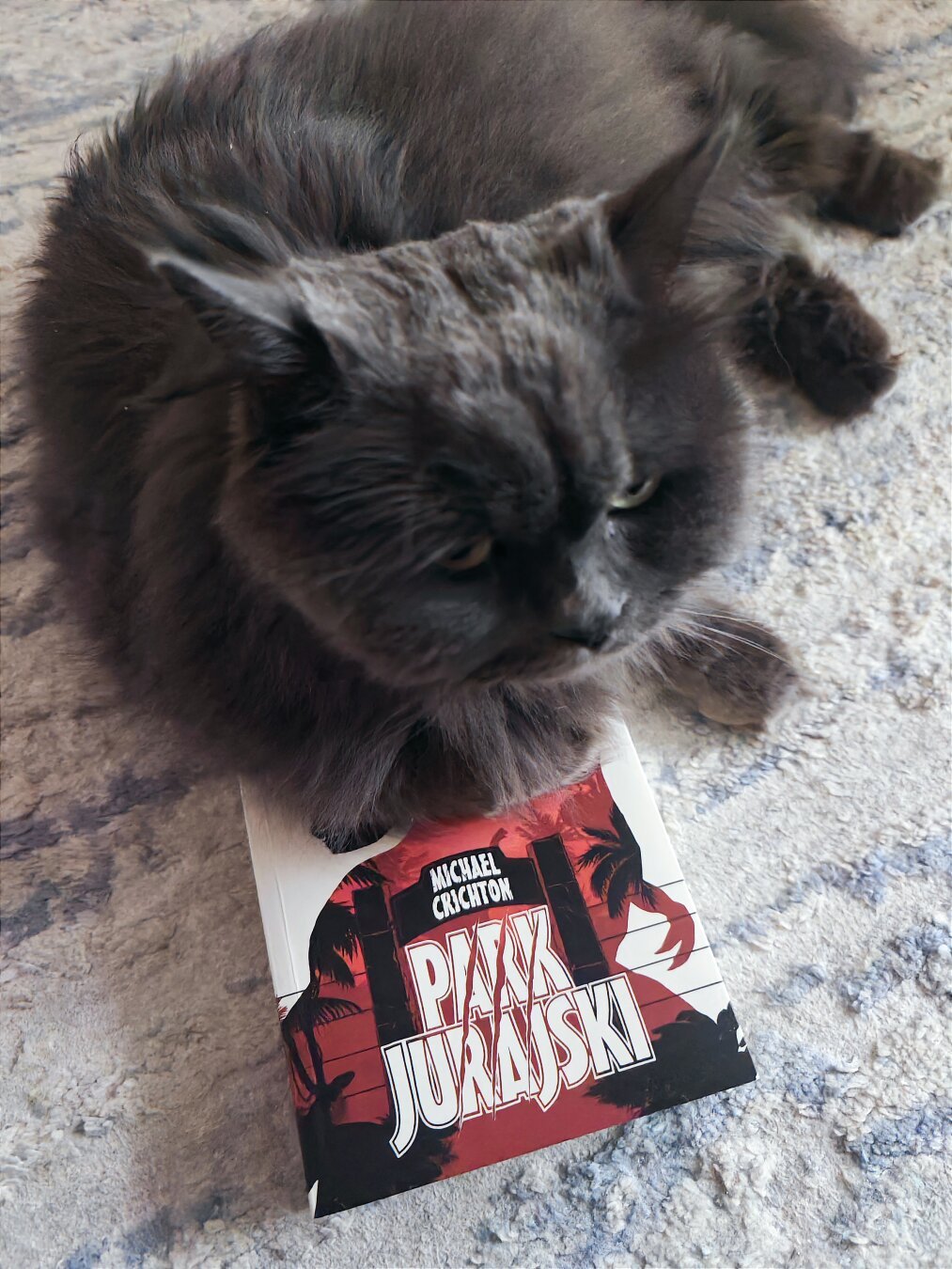 black long-haired cat lies on book by Michael Crichton "Jurrasic Park"