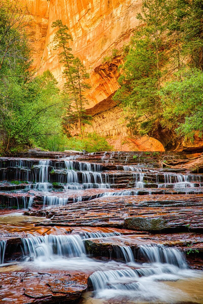 The Virgin River runs down Archangel Falls in Zion National Park.

The river has some flow to it, but it is not overly high. There’s enough water to spread out over the entire cascade without it being too deep. The cascade itself is deep red rocks with a lot, and I mean a lot, of low drops, with each one being just a foot or so high. The river runs from the back center of the photograph toward us. This makes sense because I was standing in the cascade to photograph it. I also used a longer exposure, so the water appears silky and flowing. What isn’t apparent in the photograph is how slippery it was. There’s some moss that you can’t see, and it was very difficult to walk!

In the background you can see tall, towering canyon walls extending to the top of the photograph. They're golden because of the light reflecting off them, and they are striking in the color. There are some trees with green leaves on either side of the river, which are bright and vibrant.