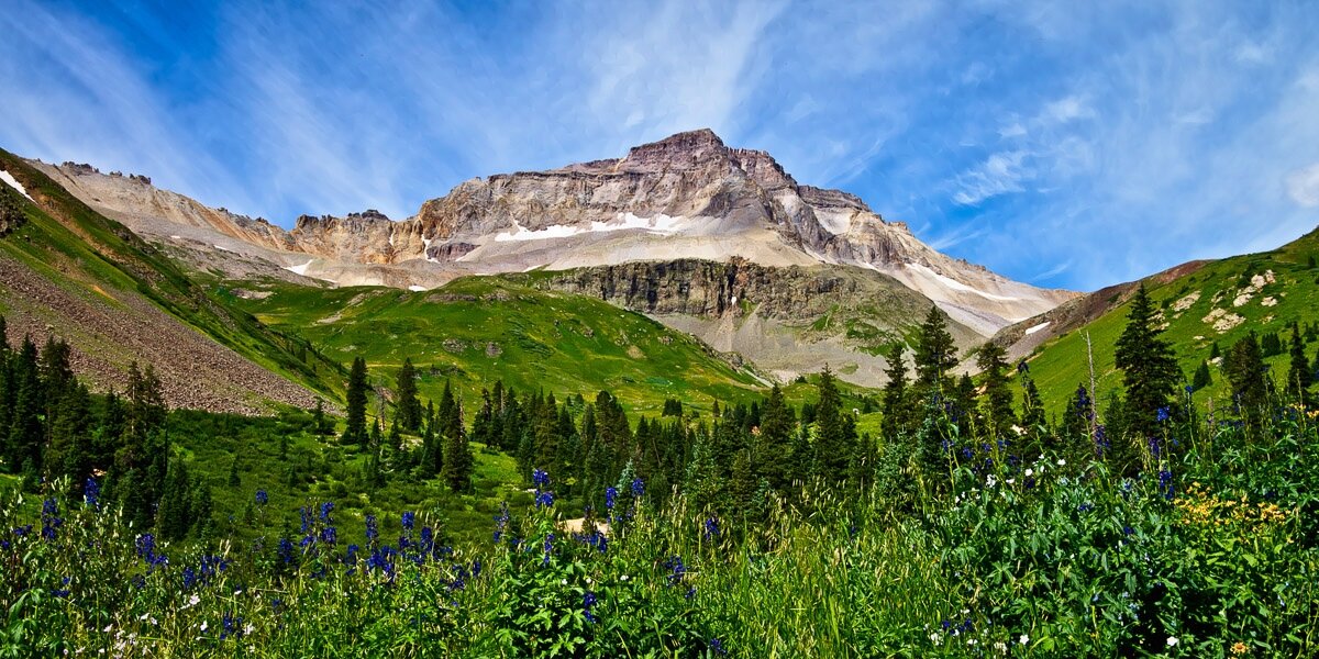 A panoramic photographs with bluebells in the foreground and a mountain in the background with blue skies.

The foreground is a meadow, and the photographer (that’s me!) is standing in the middle, surrounding by vegetation, and, of course, bluebells. The flowers, not overly dense, stretch from side to side. There’s some tall pine trees in the background, but they look small from this perspective. The shoulders of two other mountains are on each side, framing the image and pulling you deeper into the photograph.

In the background is a mountain with some scraps of snow on it. It’s above the treelike, so there aren’t any trees on it. That makes sense because I made this photograph around 14,000 feet. 

The skies are blue with some light cloud streaks that seem to disappear behind the mountain. With the cloud streaks and the foreground pulling you into the photograph, the overall effect is powerful and almost—almost—makes you forget about the bluebells. But they’re there and the namesake