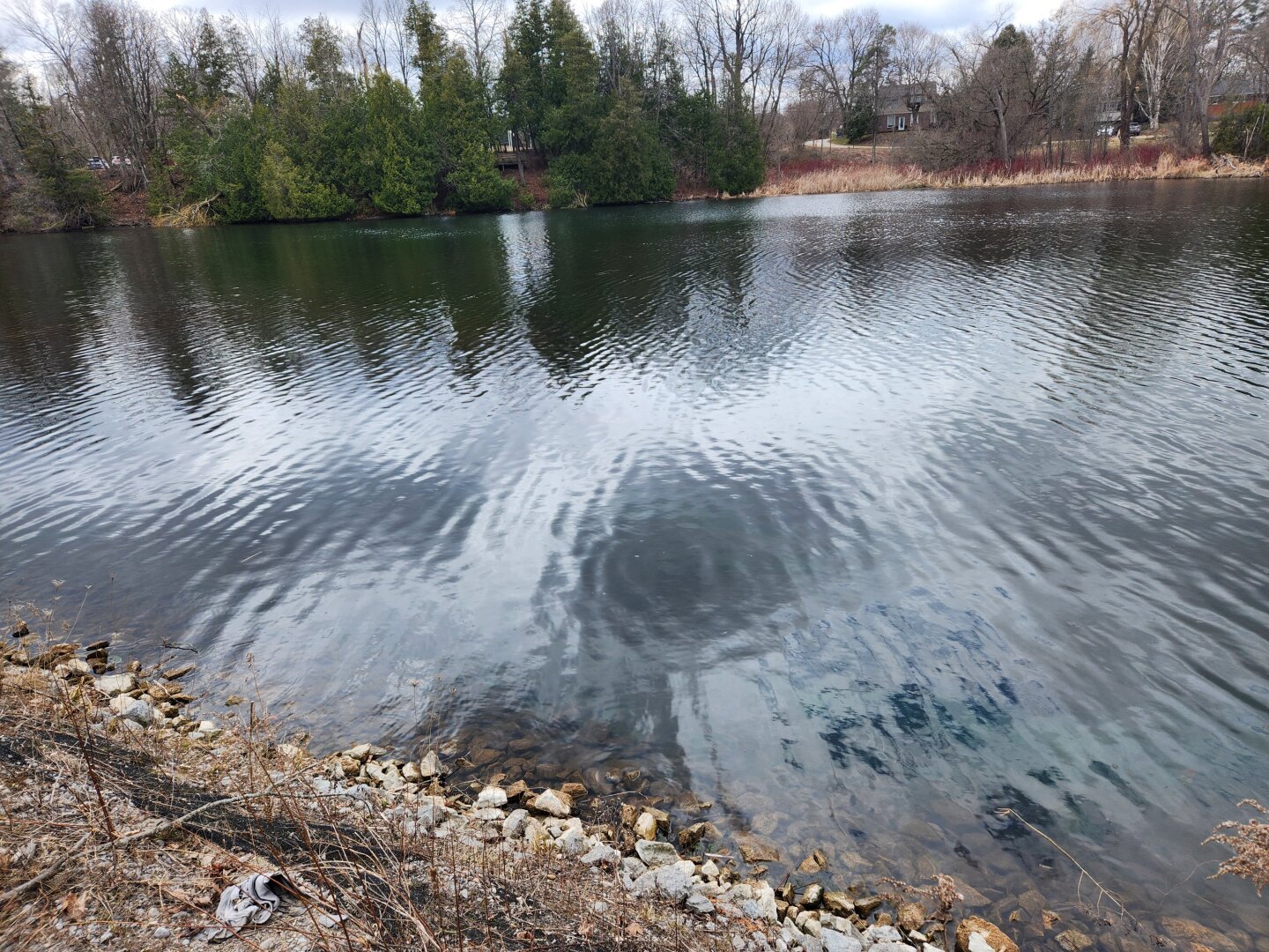 View of a pond.