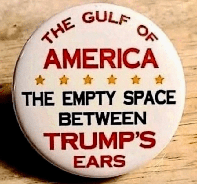 Picture of a button which reads: “The Gulf of America - The Empty Space Between Trump’s Ears.”