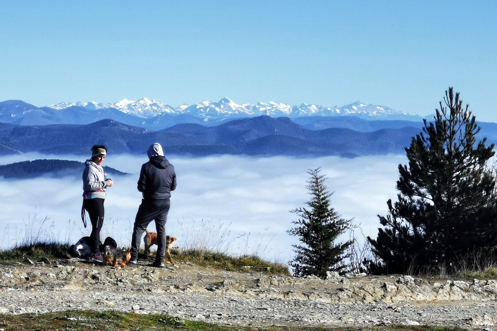 Dos personas y un perro se recorta contra un mar de nubes tras las cuales se ven montañas nevadas.