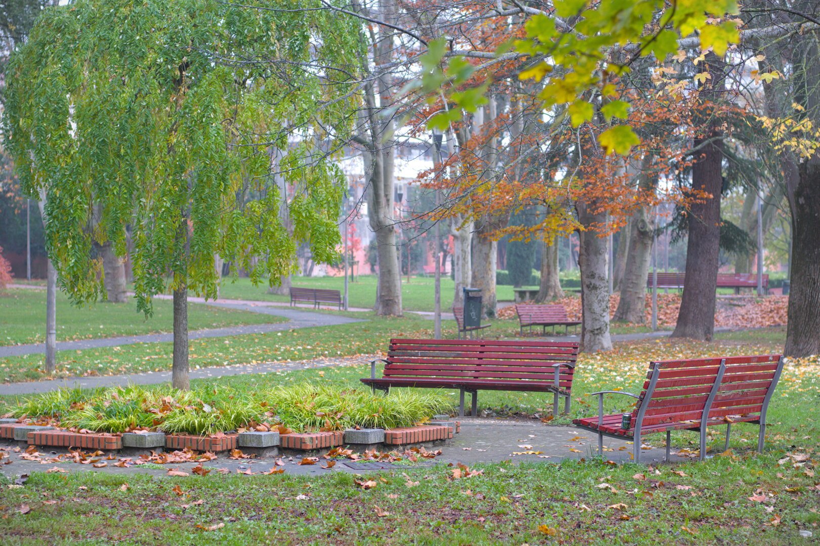Dos bancos vacíos en primer plano en un parque. Mas bancos vacios al fondo.