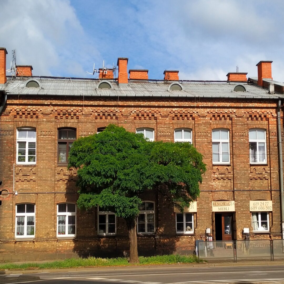 A tree in front of a building with perfect square shade.