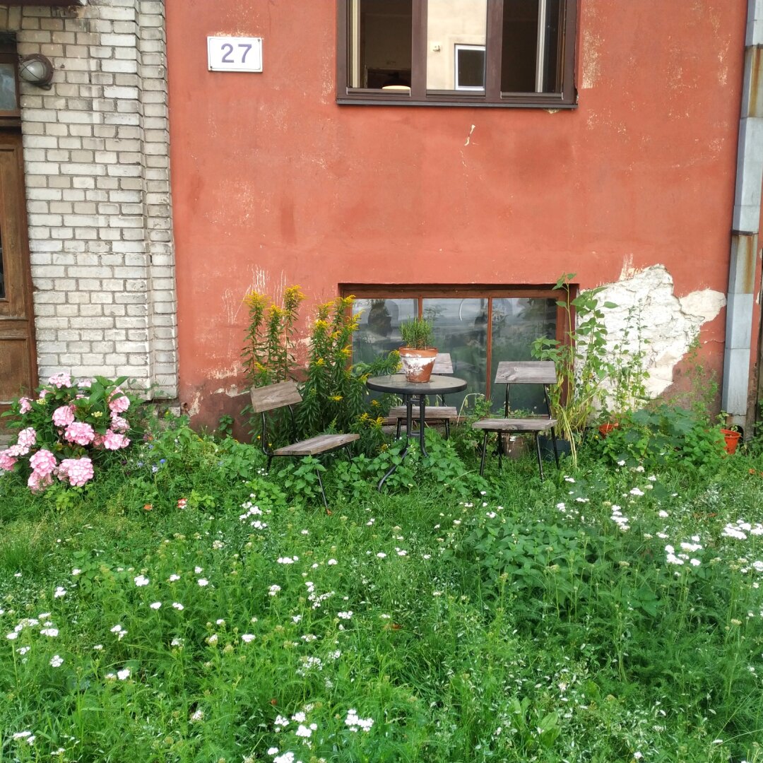 Table and chairs in front of an outer house wall surrounded by greenery.