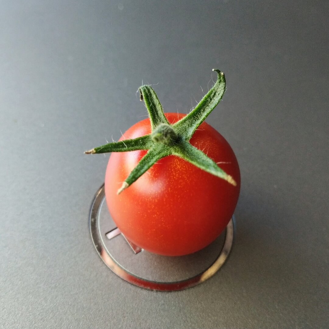 Homegrown tomato.
