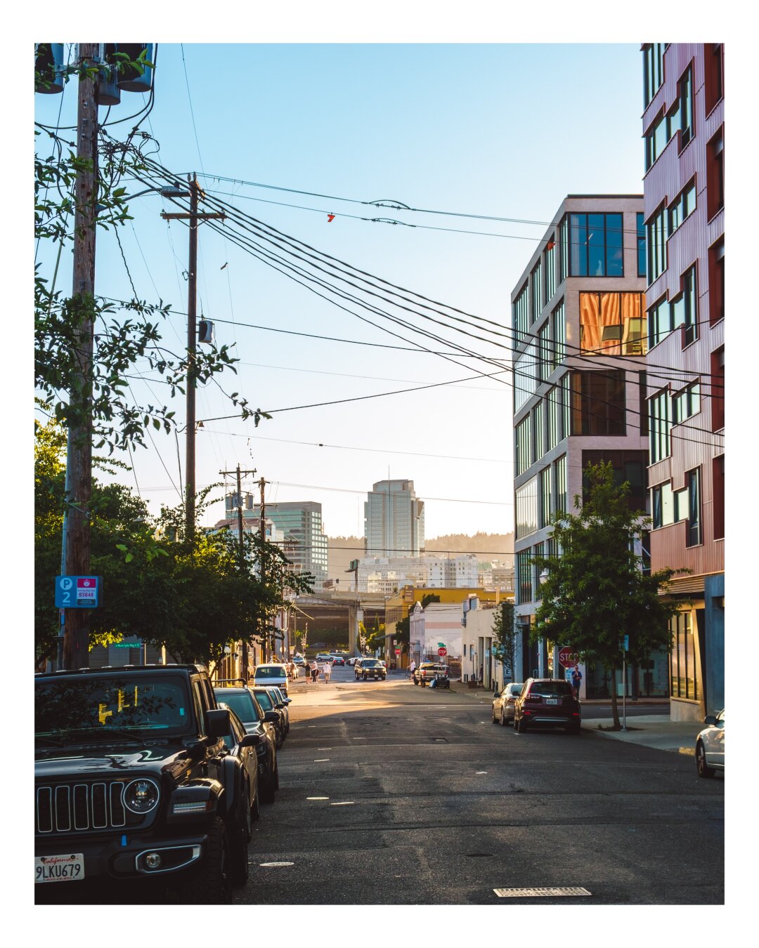 A sun-drenched urban street lined with multi-story buildings and tangled power lines, with a distant skyline visible at the end of the tree-dotted avenue.